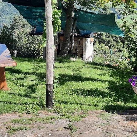 مبيت وإفطار Acquaria Casa Tonacchiolo المظهر الخارجي الصورة