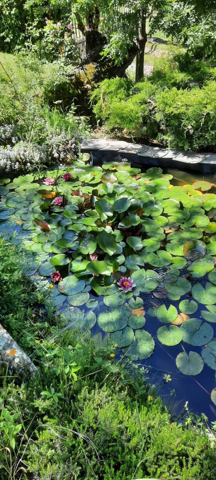 مبيت وإفطار Acquaria Casa Tonacchiolo المظهر الخارجي الصورة